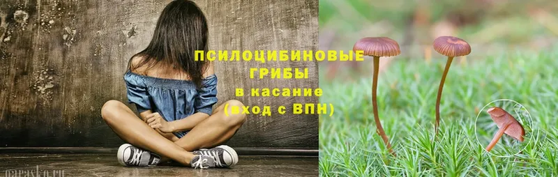 Галлюциногенные грибы ЛСД  Вязники 